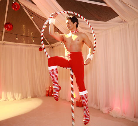 Lollipop Pole Aerialist Lollipop Pole Aerialist